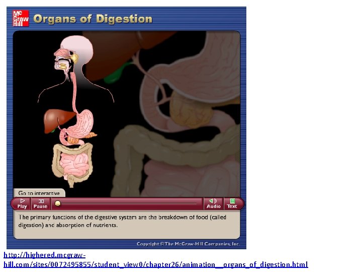 http: //highered. mcgrawhill. com/sites/0072495855/student_view 0/chapter 26/animation__organs_of_digestion. html 