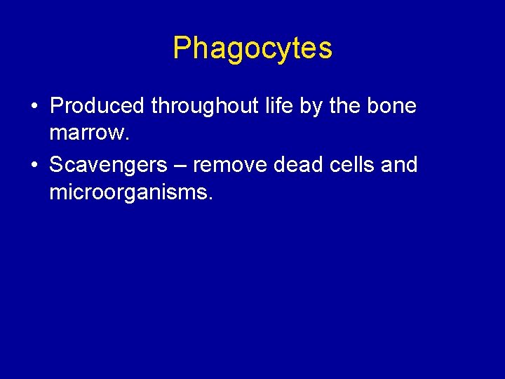 Phagocytes • Produced throughout life by the bone marrow. • Scavengers – remove dead