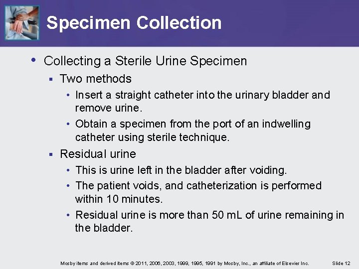Specimen Collection • Collecting a Sterile Urine Specimen § Two methods • Insert a