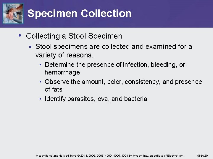 Specimen Collection • Collecting a Stool Specimen § Stool specimens are collected and examined