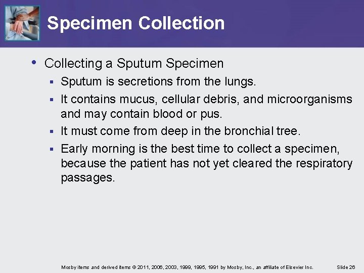 Specimen Collection • Collecting a Sputum Specimen Sputum is secretions from the lungs. §