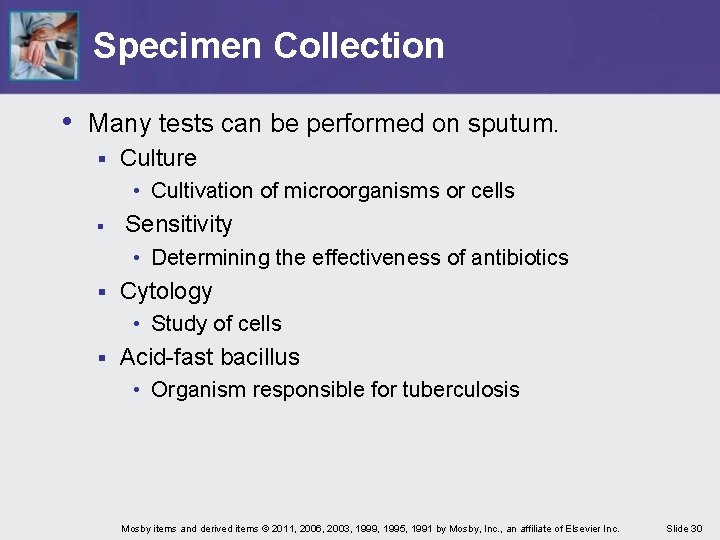 Specimen Collection • Many tests can be performed on sputum. § Culture • Cultivation