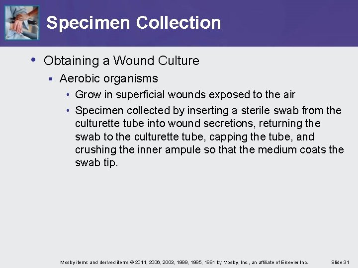 Specimen Collection • Obtaining a Wound Culture § Aerobic organisms • Grow in superficial