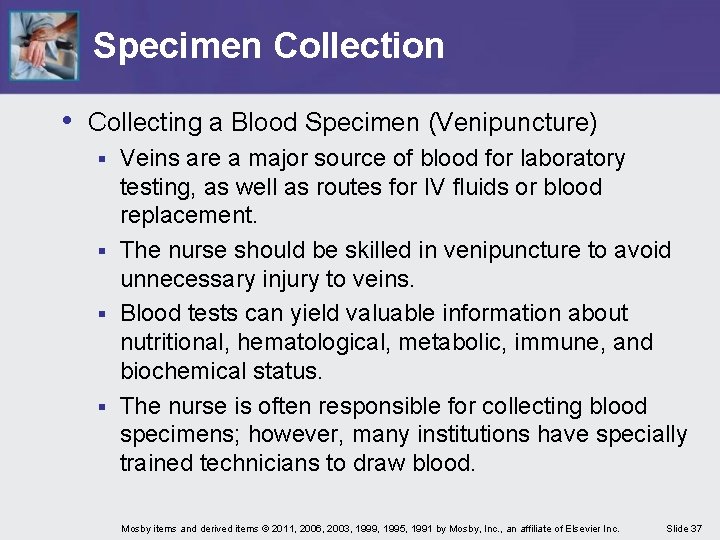 Specimen Collection • Collecting a Blood Specimen (Venipuncture) Veins are a major source of