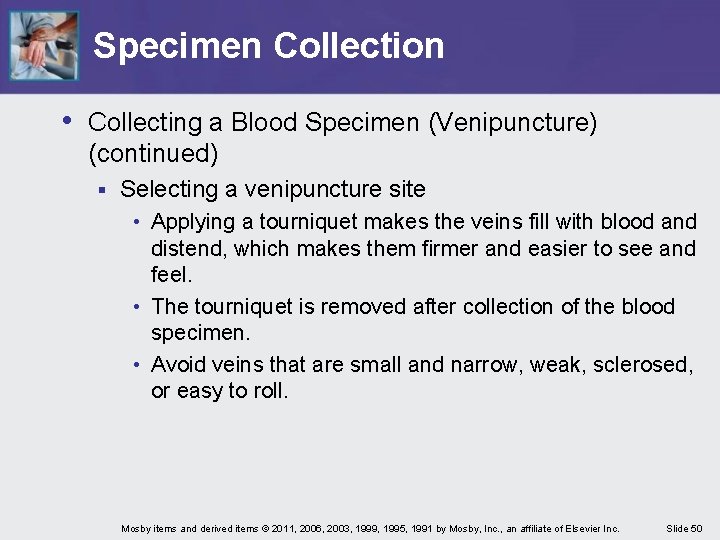 Specimen Collection • Collecting a Blood Specimen (Venipuncture) (continued) § Selecting a venipuncture site