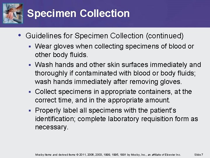 Specimen Collection • Guidelines for Specimen Collection (continued) Wear gloves when collecting specimens of