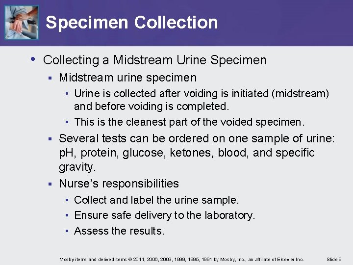 Specimen Collection • Collecting a Midstream Urine Specimen § Midstream urine specimen • Urine