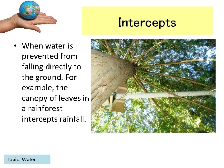 Intercepts • When water is prevented from falling directly to the ground. For example,