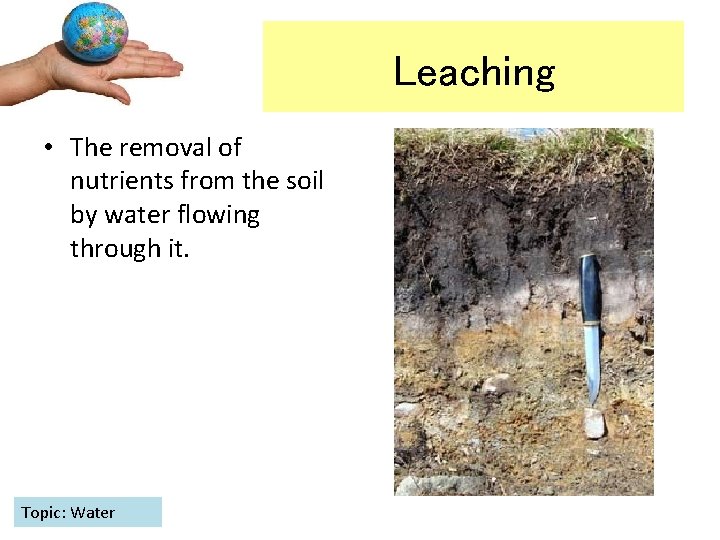 Leaching • The removal of nutrients from the soil by water flowing through it.