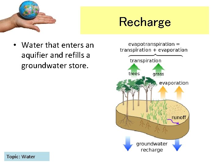 Recharge • Water that enters an aquifier and refills a groundwater store. Topic: Water