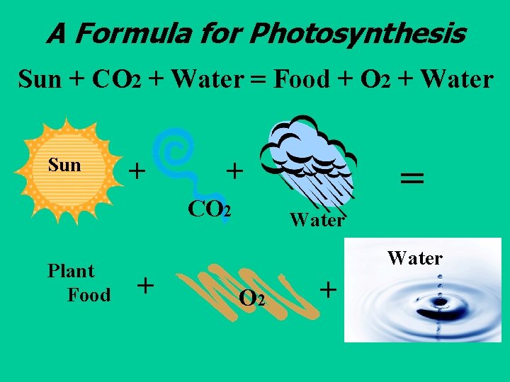 A Formula for Photosynthesis Sun + CO 2 + Water = Food + O