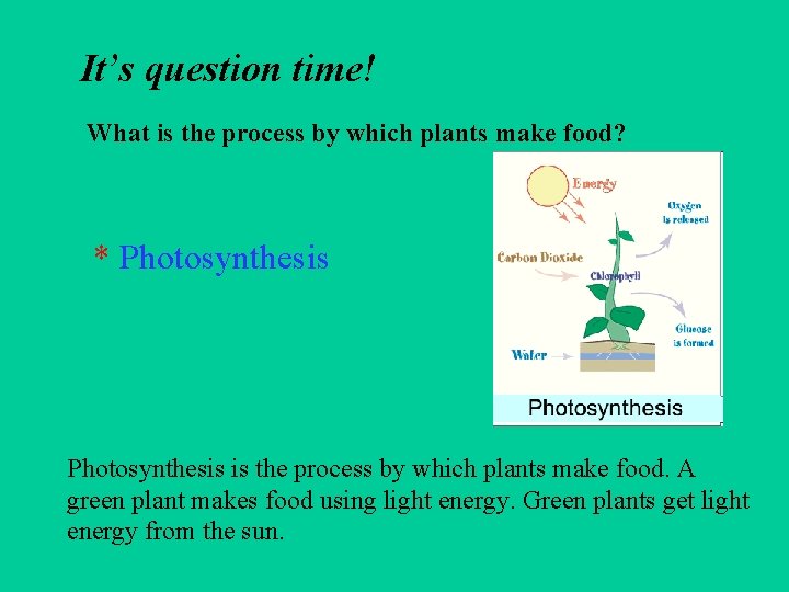 It’s question time! What is the process by which plants make food? * Photosynthesis