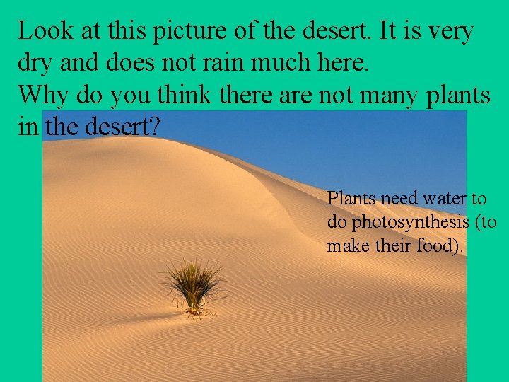 Look at this picture of the desert. It is very dry and does not