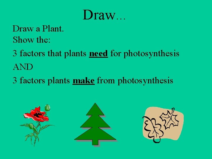 Draw… Draw a Plant. Show the: 3 factors that plants need for photosynthesis AND