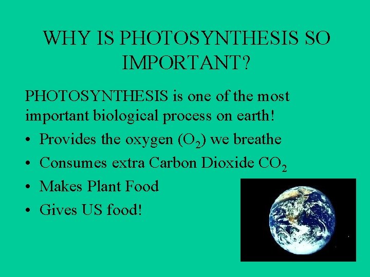 WHY IS PHOTOSYNTHESIS SO IMPORTANT? PHOTOSYNTHESIS is one of the most important biological process