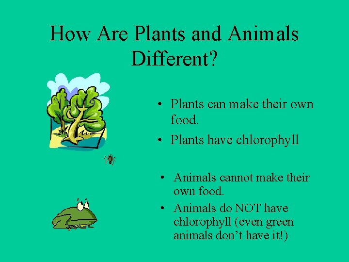 How Are Plants and Animals Different? • Plants can make their own food. •