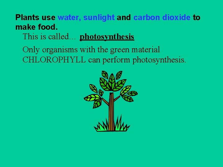 Plants use water, sunlight and carbon dioxide to make food. This is called… photosynthesis