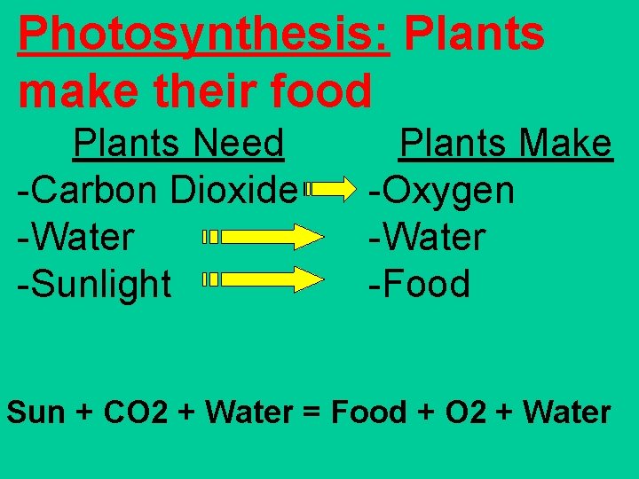 Photosynthesis: Plants make their food Plants Need -Carbon Dioxide -Water -Sunlight Plants Make -Oxygen