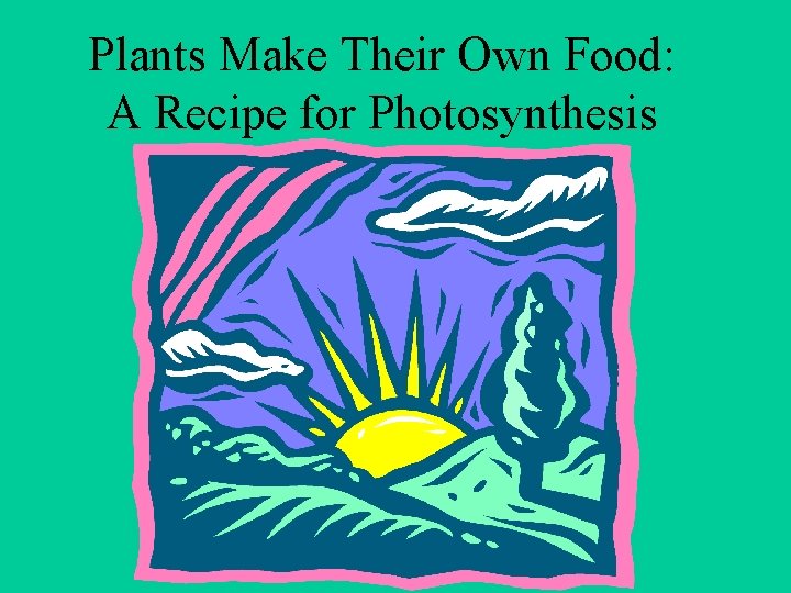Plants Make Their Own Food: A Recipe for Photosynthesis 