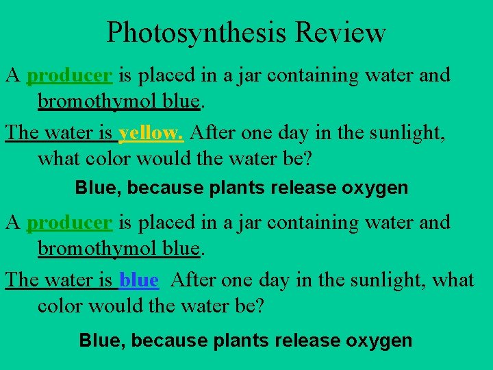 Photosynthesis Review A producer is placed in a jar containing water and bromothymol blue.
