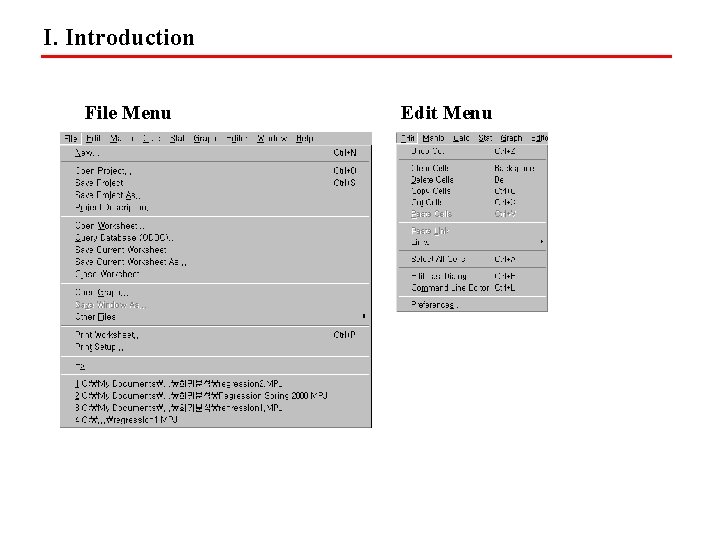 I. Introduction File Menu Edit Menu 