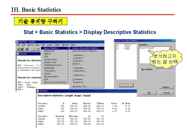 III. Basic Statistics 기술 통계량 구하기 Stat > Basic Statistics > Display Descriptive Statistics