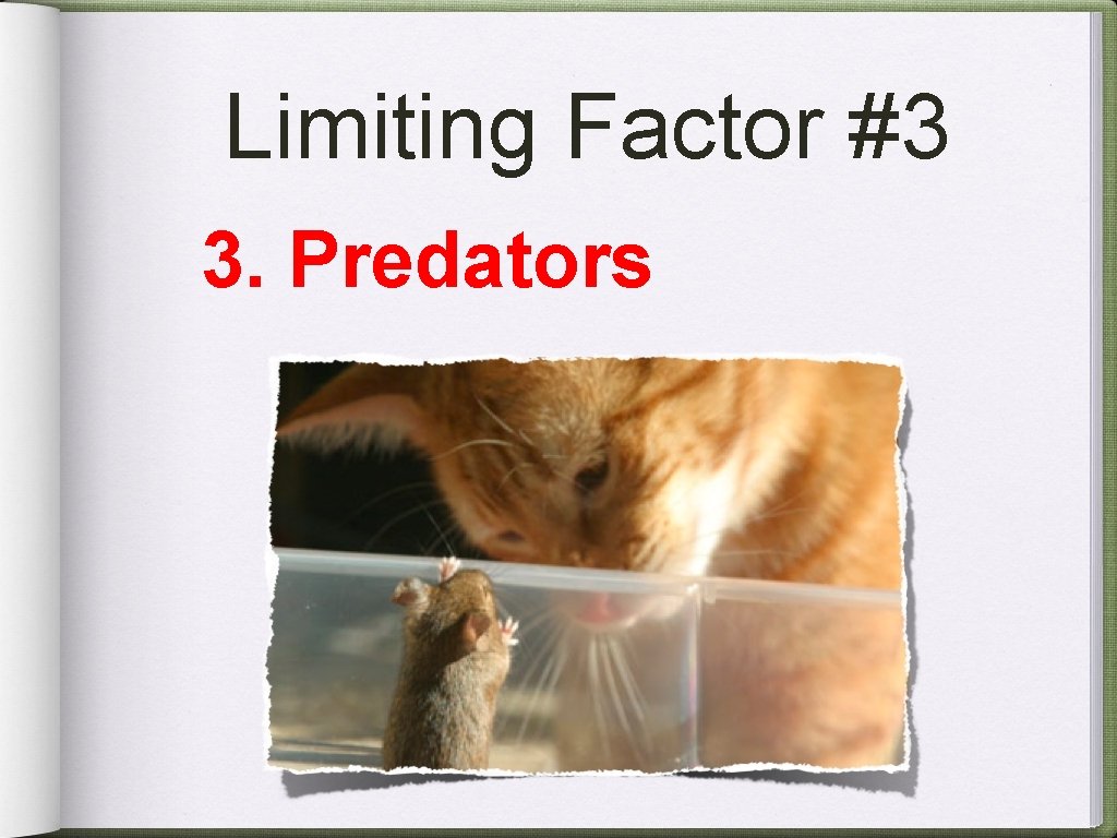 Limiting Factor #3 3. Predators 