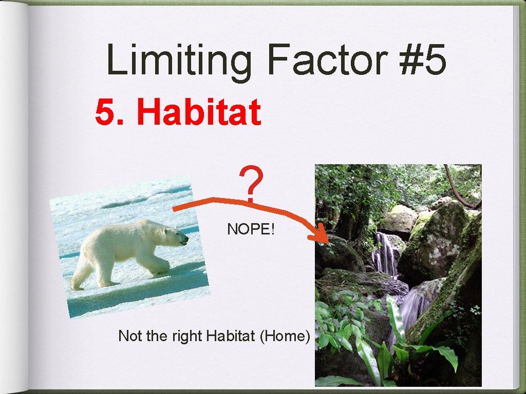 Limiting Factor #5 5. Habitat ? NOPE! Not the right Habitat (Home) 