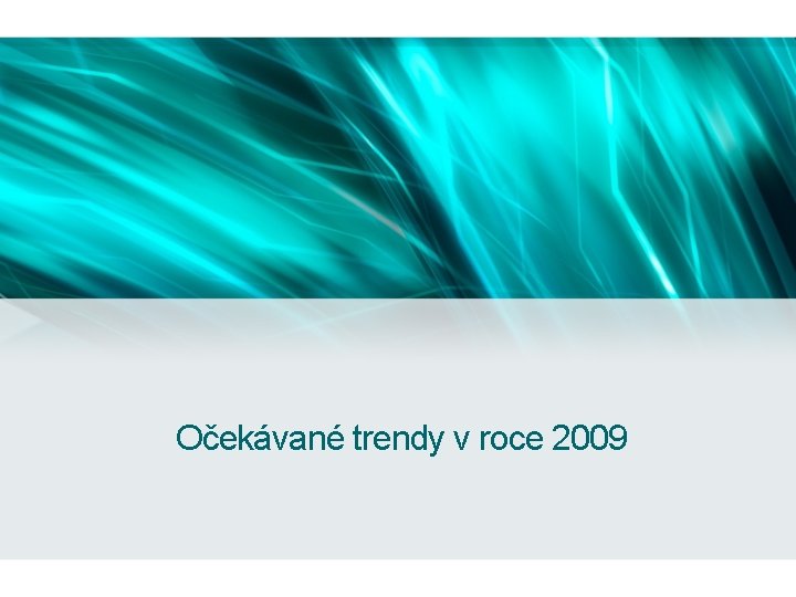 Očekávané trendy v roce 2009 