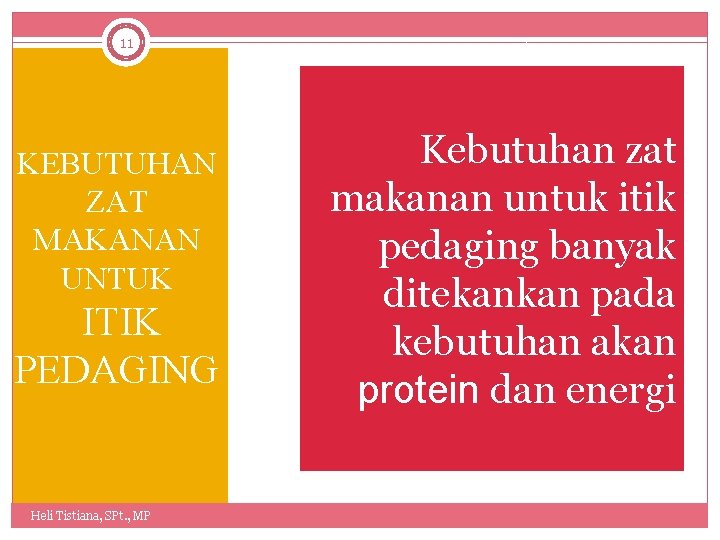 11 KEBUTUHAN ZAT MAKANAN UNTUK ITIK PEDAGING Heli Tistiana, SPt. , MP Kebutuhan zat