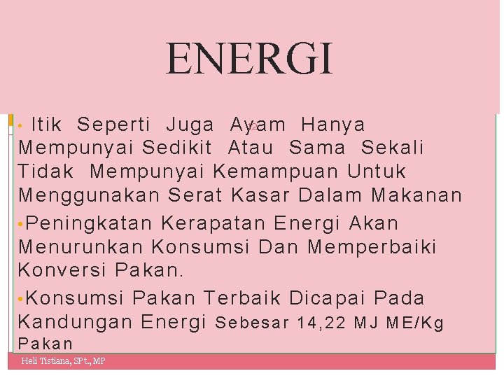 ENERGI 12 Itik Seperti Juga Ayam Hanya Mempunyai Sedikit Atau Sama Sekali Tidak Mempunyai