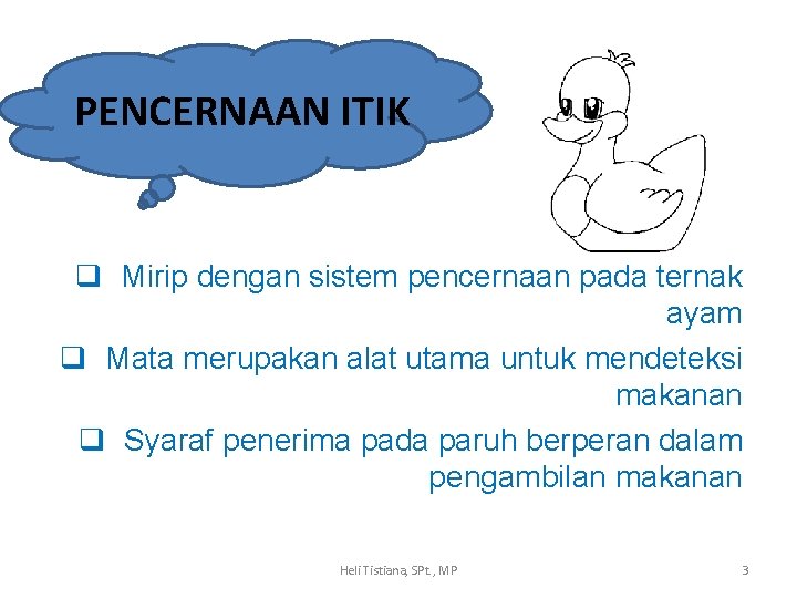 PENCERNAAN ITIK q Mirip dengan sistem pencernaan pada ternak ayam q Mata merupakan alat