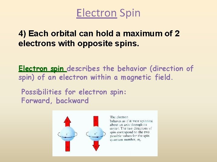 Electron Spin 4) Each orbital can hold a maximum of 2 electrons with opposite