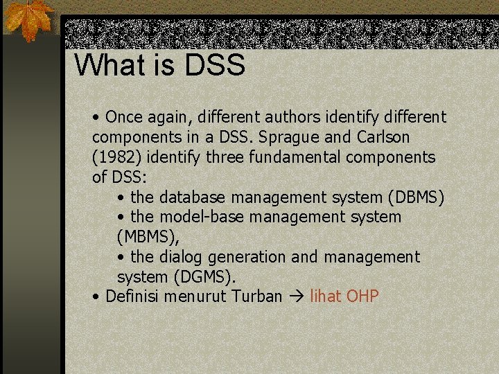 What is DSS • Once again, different authors identify different components in a DSS.