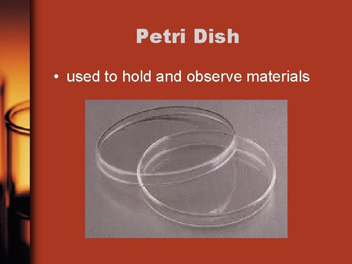 Petri Dish • used to hold and observe materials 