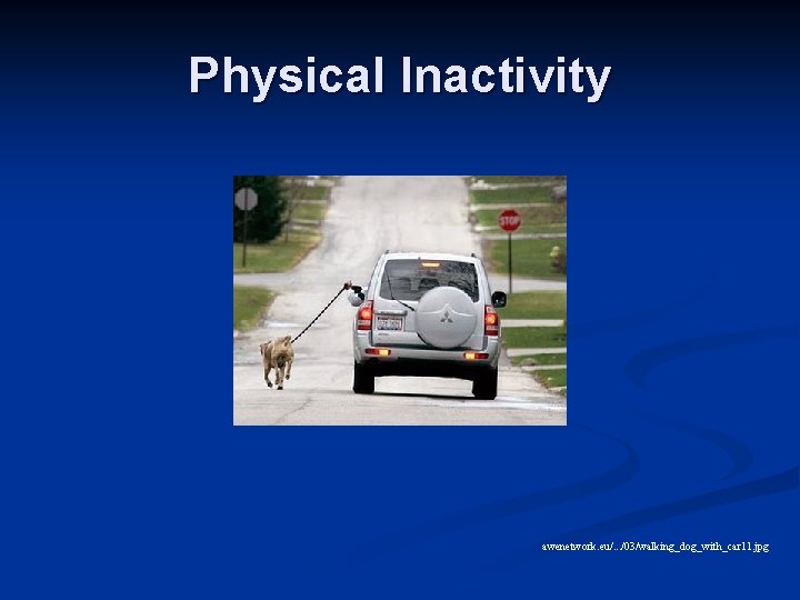 Physical Inactivity awenetwork. eu/. . . /03/walking_dog_with_car 11. jpg 