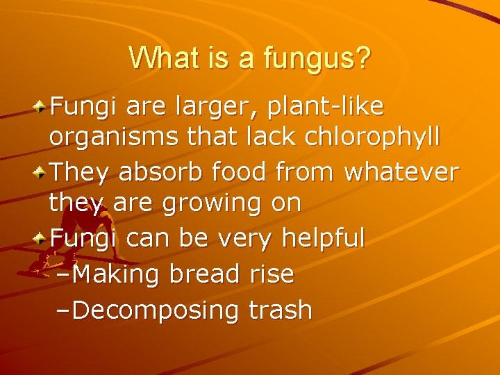 What is a fungus? Fungi are larger, plant-like organisms that lack chlorophyll They absorb