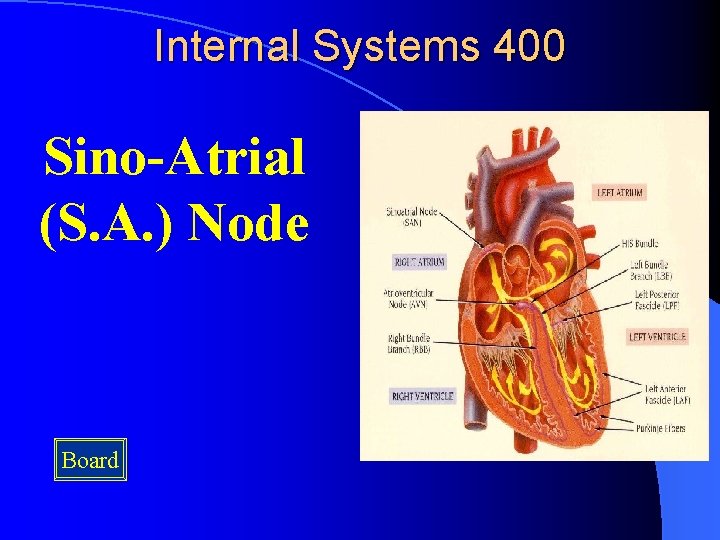 Internal Systems 400 Sino-Atrial (S. A. ) Node Board 