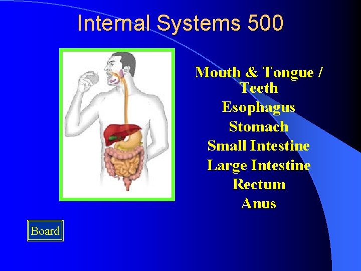 Internal Systems 500 Mouth & Tongue / Teeth Esophagus Stomach Small Intestine Large Intestine