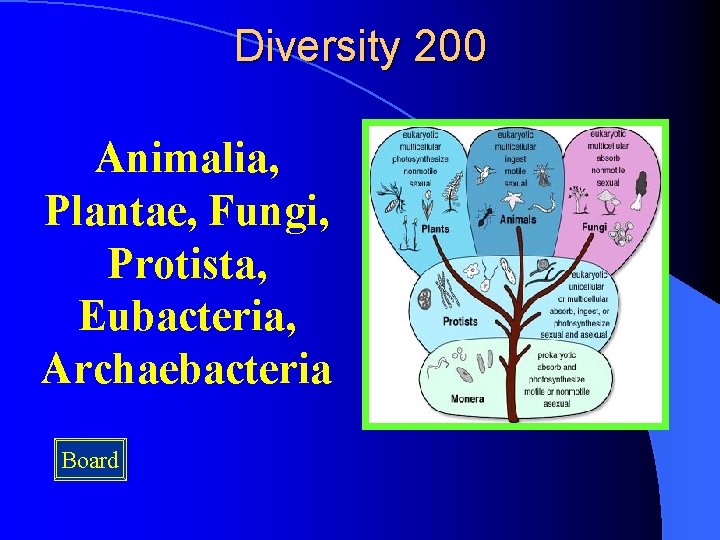 Diversity 200 Animalia, Plantae, Fungi, Protista, Eubacteria, Archaebacteria Board 