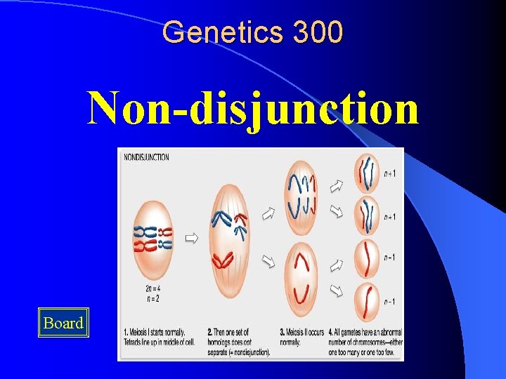 Genetics 300 Non-disjunction Board 
