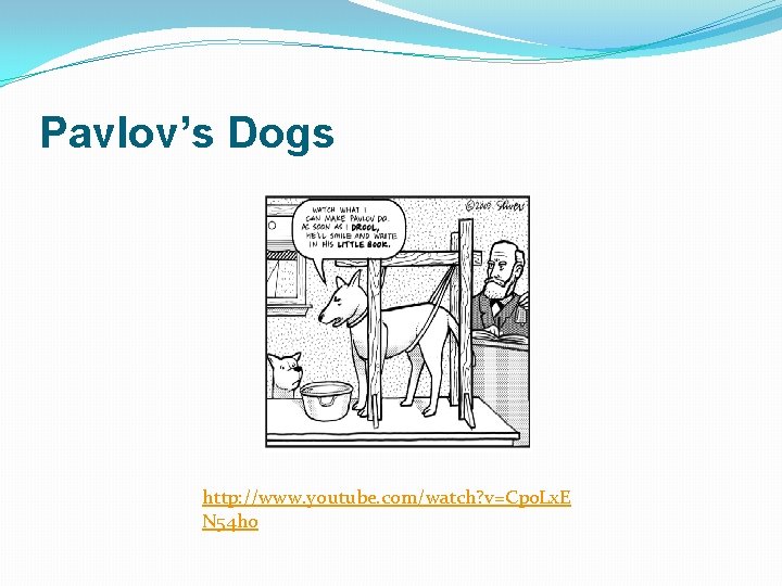 Pavlov’s Dogs http: //www. youtube. com/watch? v=Cpo. Lx. E N 54 ho 