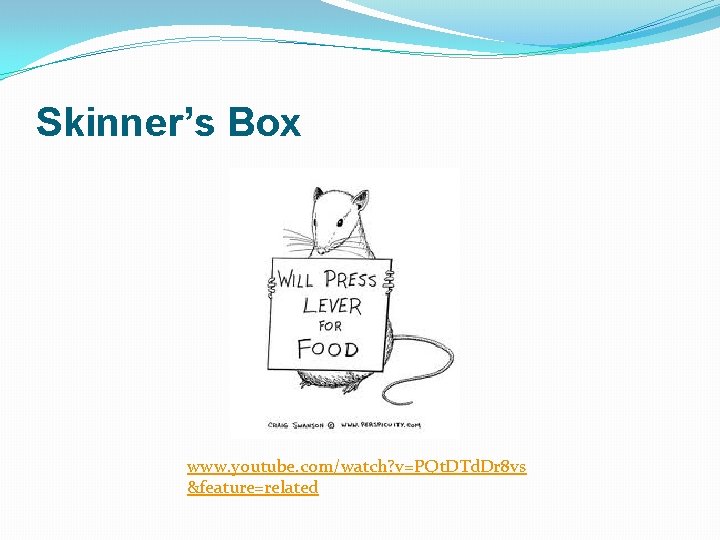 Skinner’s Box www. youtube. com/watch? v=PQt. DTd. Dr 8 vs &feature=related 