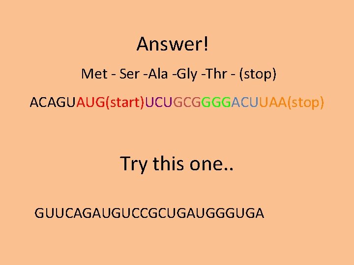 Answer! Met - Ser -Ala -Gly -Thr - (stop) ACAGUAUG(start)UCUGCGGGGACUUAA(stop) Try this one. .