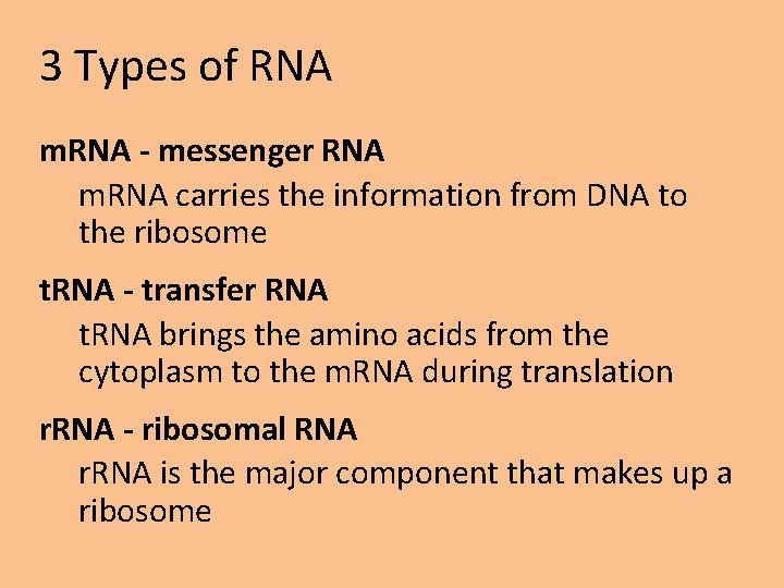 3 Types of RNA m. RNA - messenger RNA m. RNA carries the information