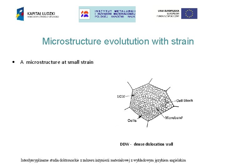 Microstructure evolutution with strain • A microstructure at small strain DDW - dense dislocation