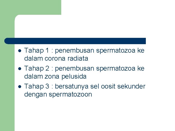 l l l Tahap 1 : penembusan spermatozoa ke dalam corona radiata Tahap 2