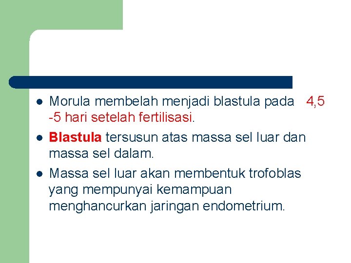 l l l Morula membelah menjadi blastula pada 4, 5 -5 hari setelah fertilisasi.