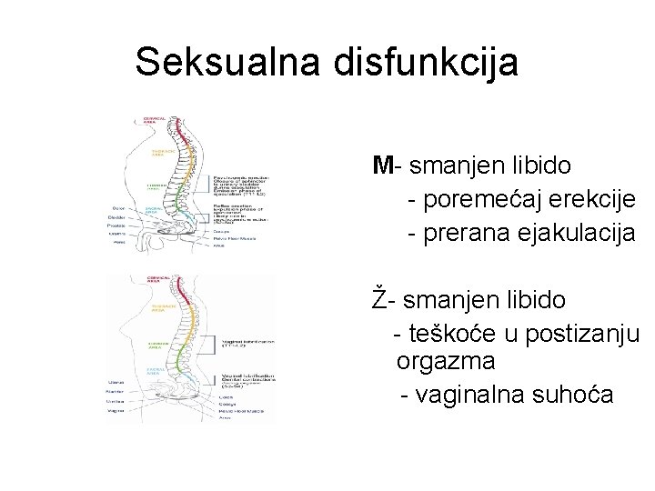 Seksualna disfunkcija M- smanjen libido - poremećaj erekcije - prerana ejakulacija Ž- smanjen libido