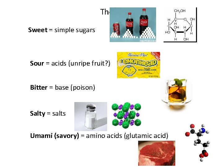 The 5 tastes: Sweet = simple sugars Sour = acids (unripe fruit? ) Bitter